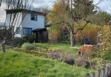 Garten 054 – Ansicht 2
